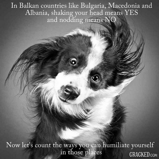 In Balkan countries like Bulgaria, Macedonia and Albania, shaking your head means YES and nodding means NO Now let's count the ways can humiliate you 