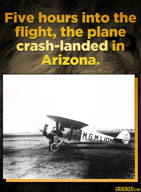 Five hours into the flight, the plane crash-landed in Arizona. M.G.MLIDN