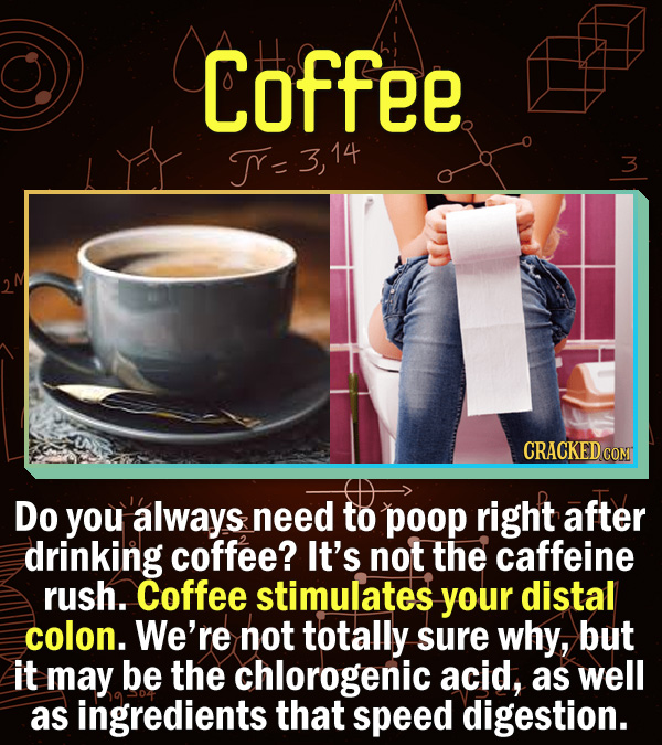 15 Scientific Explanations For Dumb Everyday Problems - Do you always need to poop right after drinking coffee? It’s not the caffeine rush. Coffee sti