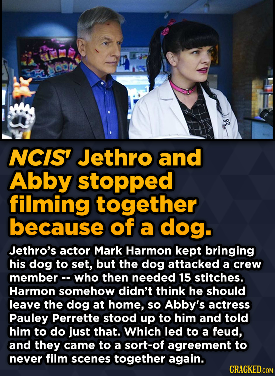 Ridiculous Behind-The-Scenes Stories From Your Favorite Movies And Shows - NCIS' Jethro and Abby stopped filming together because of a dog.