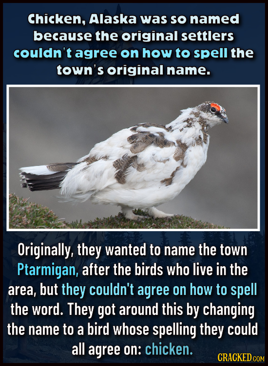 Chicken, Alaska was So named because the original settlers couldn't agree on how to spell the town's original name. Originally, they wanted to name th