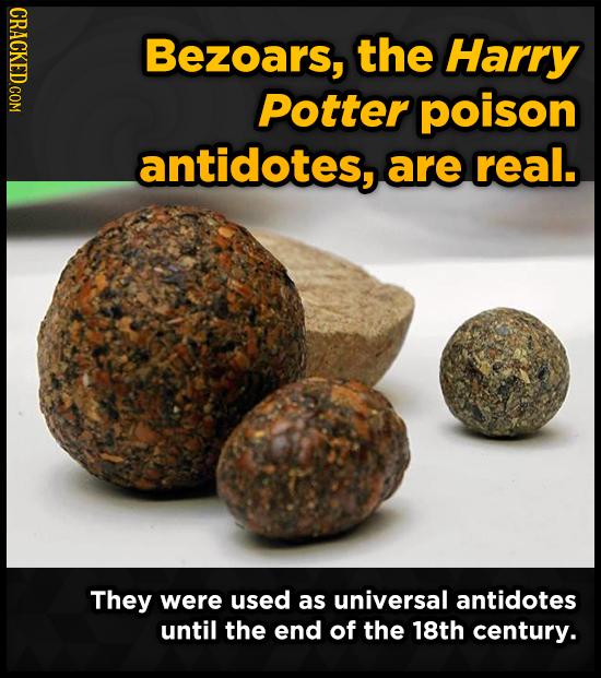 CRACKED.COM Bezoars, the Harry Potter poison antidotes, are real. They were used as universal antidotes until the end of the 18th century.