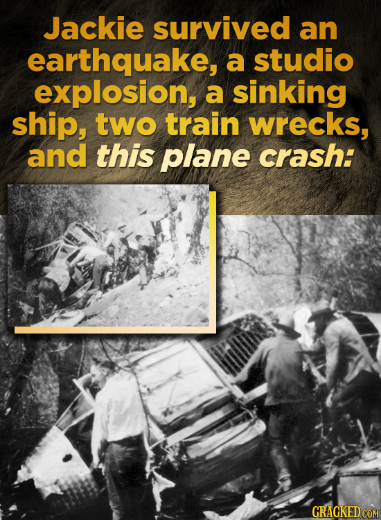 Jackie survived an earthquake, a studio explosion, a sinking ship, two train wrecks, and this plane crash: CRACKED COM