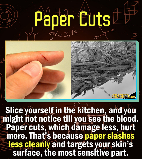 15 Scientific Explanations For Dumb Everyday Problems - Slice yourself in the kitchen, and you might not notice till you see the blood. Paper cuts, wh