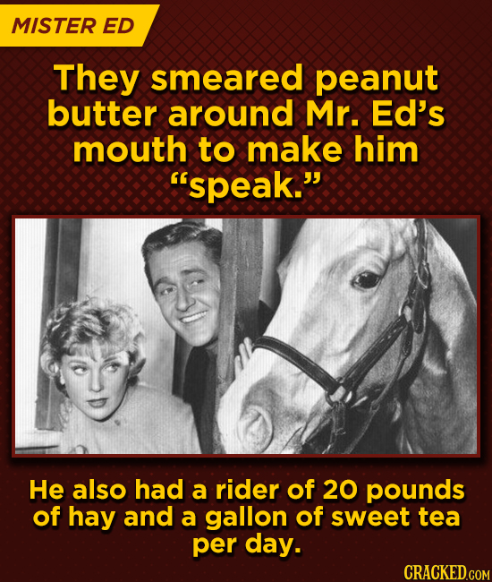 MISTER ED They smeared peanut butter around Mr. Ed's mouth to make him spEAK. He also had a rider of 20 pounds of hay and a gallon of sweet tea per