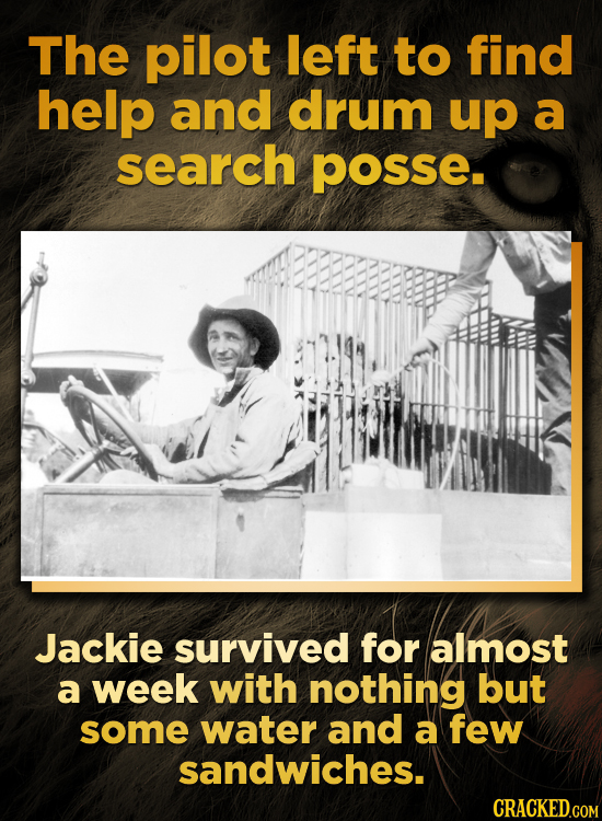 The pilot left to find help and drum up a search POsSe Jackie survived for almost a week with nothing but some water and a few sandwiches.