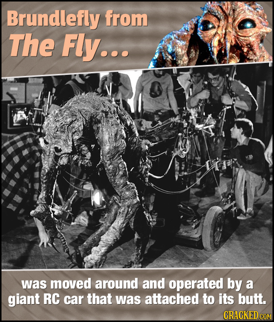 Brundlefly from The Fly... was moved around and operated by a giant RC car that was attached to its butt. CRACKED COM