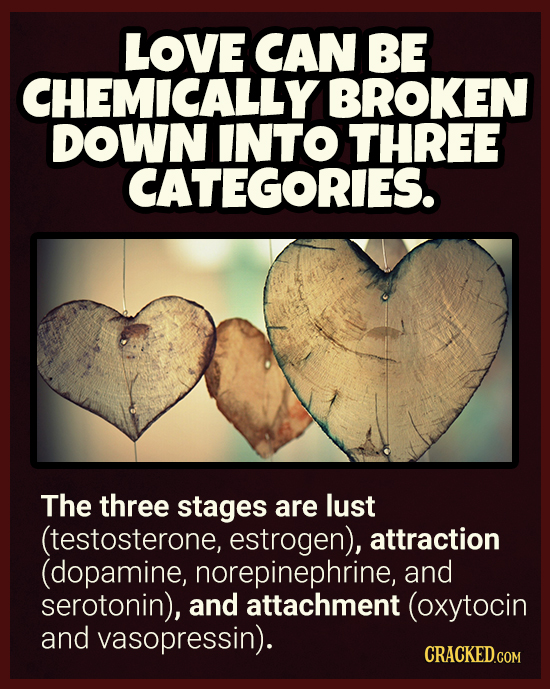 18 Scientific Facts About Love & Dating To Ruin The Romance