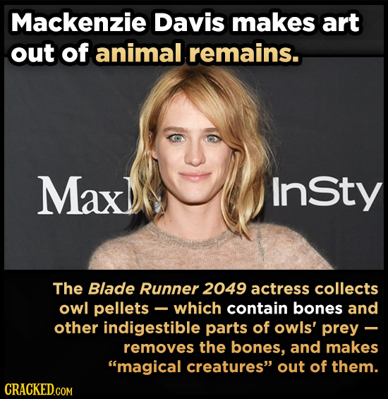 Mackenzie Davis makes art out of animal remains. Max Insty The Blade Runner 2049 actress collects owl pellets which contain bones and other indigestib