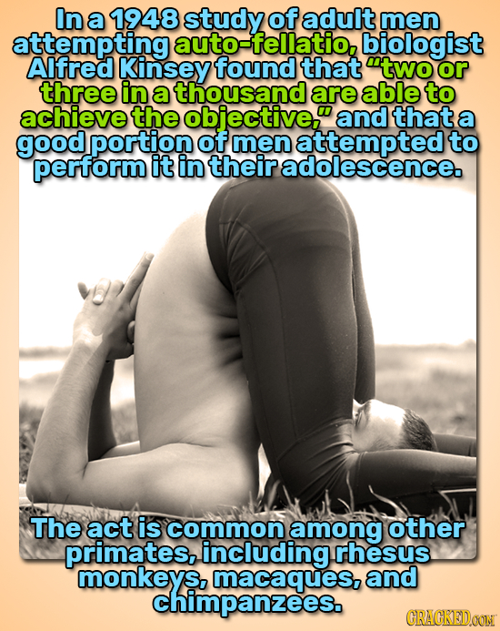 In a 1948 study of adult men attempting auto- fellatio, biologist Alfred Kinsey found that two or three in a thousand are able to achieve the objecti