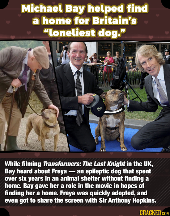 Michael Bay helped find a home for Britain's loneliest dog. While filming Transformers: The Last Knight in the UK, Bay heard about Freya - an epilep