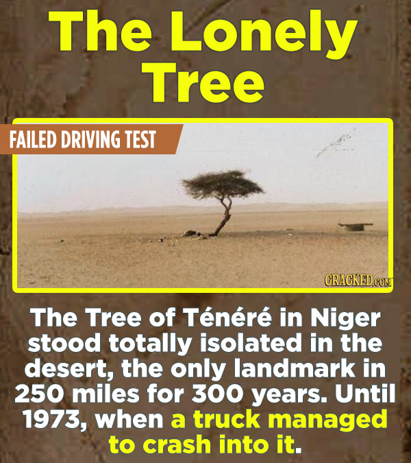 16 Hilarious True Stories Left Out Of History