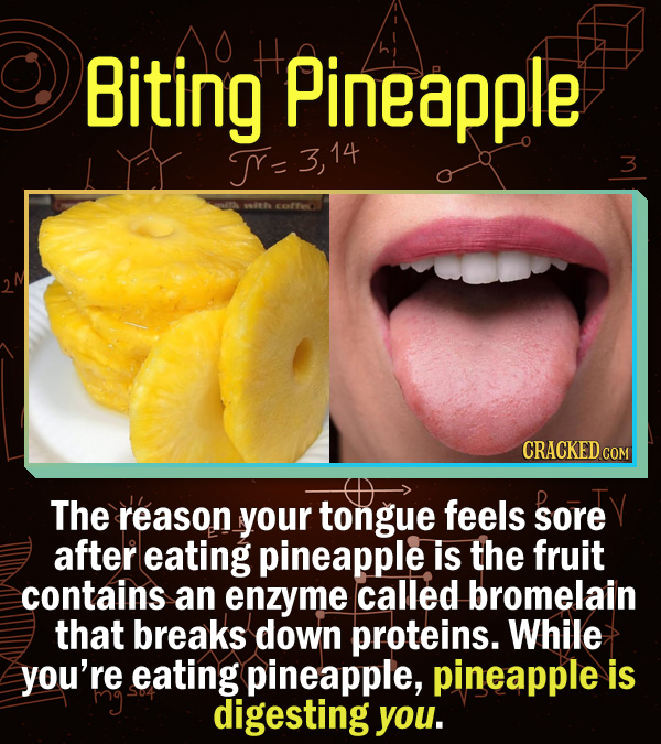 15 Scientific Explanations For Dumb Everyday Problems - The reason your tongue feels sore after eating pineapple is the fuit contains an enzyme called