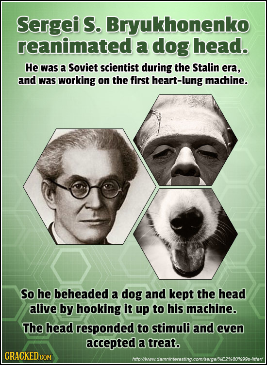 Sergei S. Bryukhonenko reanimated a dog head. He was a Soviet scientist during the Stalin era, and was working on the first heart-lung machine. So he