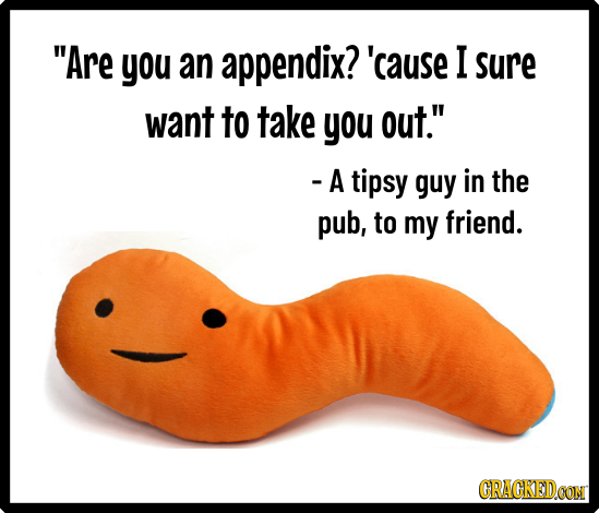 Are you an appendix? 'cause I sure want to take you out. - A tipsy guy in the pub, to my friend. GRACKEDOON
