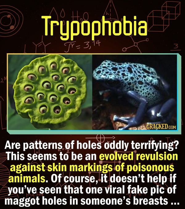 15 Scientific Explanations For Dumb Everyday Problems - Are patterns of holes oddly terrifying? This appears to be an evolved revulsion against the sk