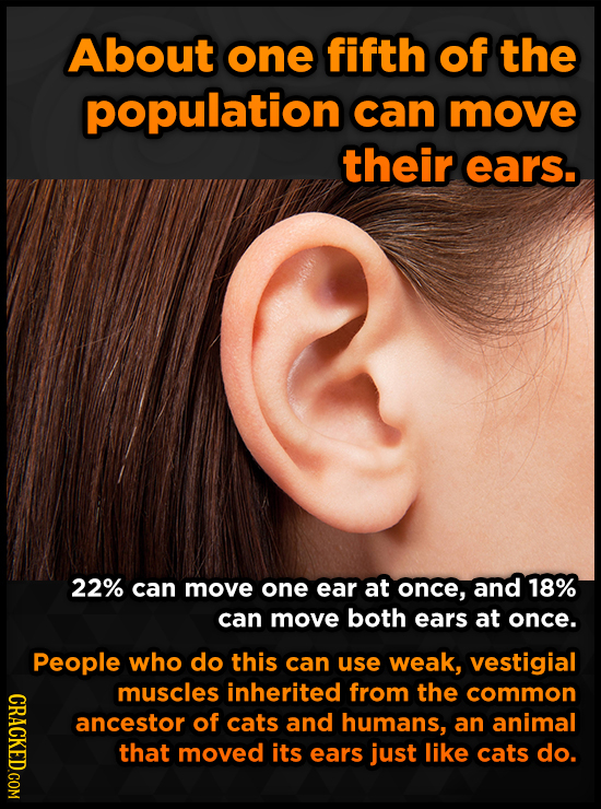 About one fifth of the population can move their ears. 22% can move one ear at once, and 18% can move both ears at once. People who do this can use we