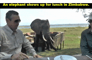 17 Camera Shots That Almost Killed People