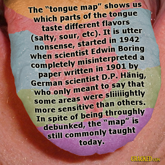 The tongue map shows us of the tongue which parts flavors taste different It is utter (salty, etc). sour, in 1942 started nonsense, Boring Edwin whe