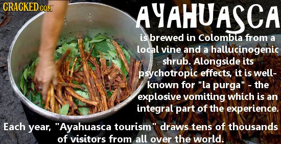 CRACKED COMT AYAHUASCA is brewed in Colombia from a local vine and a hallucinogenic shrub. Alongside its psychotropic effects, it is well- known for