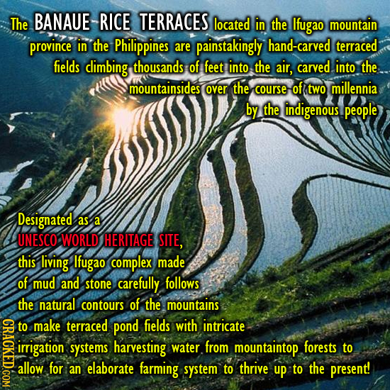 The BANAUE RICE TERRACES located in the Ifugao mountain province in the Philippines are painstakingly hand-carved terraced fields cimbing thousands of