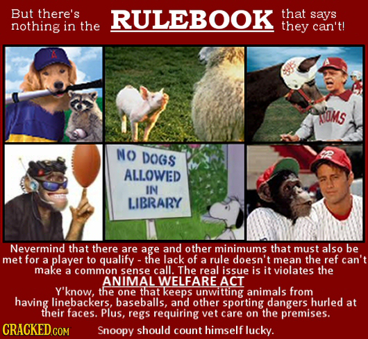 But there's RULEBOOK that says nothing in the they can't! SOMS NO DOGS ALLOWED IN LIBRARY Nevermind that there are age and other minimums that must al