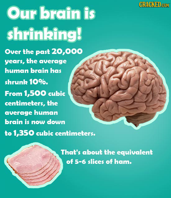 CRACKEDCON Our brain is shrinking! Over the past 20,000 years, the average human brain has shrunk 10%. From 1,500 cubic centimeters, the average human