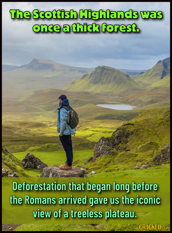 The Scottish Highlands was once a thick forest. Deforestation that began long before the Romans arrived gave us the iconic view of a treeless plateau.