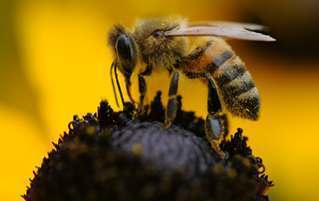 How A Group Of 20 People Predicted The Kentucky Derby