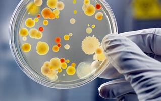 All The Ways Your Microbes Make You YOU