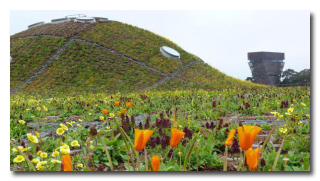 4 Eco-Friendly Structures Straight Out of Science Fiction