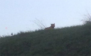 4 Homeowners With Problems You Didn't Know Were Possible