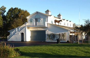 5 Animals People Found In Insanely Random Places