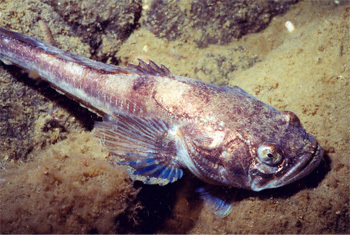 7 News Stories That Are Clearly Just Horror Movie Premises