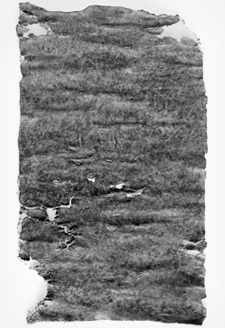 7 News Stories That Are Clearly Just Horror Movie Premises