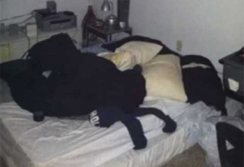 4 Crazy Things People Just Discovered In Their Houses