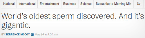 National International Entertainment Business Science Subscribe to Morning Mix World's oldest sperm discovered. And it's gigantic. BY TERRENCE MCCOY M