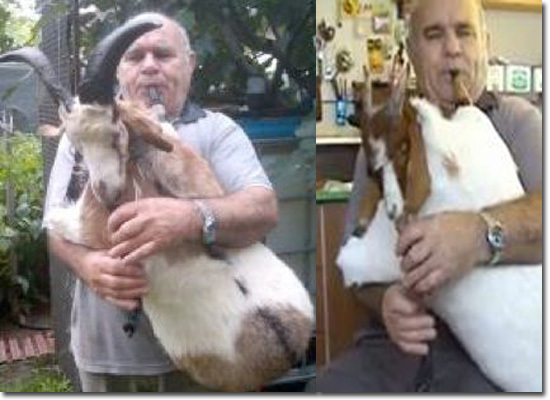 The 5 Most Disturbing Things Ever Done With Taxidermy