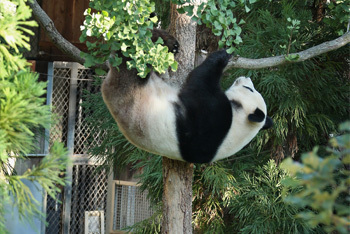 5 Unexpected Side Effects of the Government Shutdown