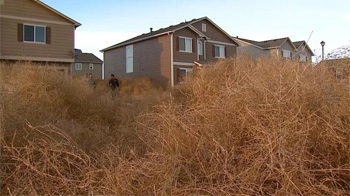 The 5 Most Insanely Apocalyptic Photos of America Right Now