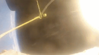 4 Reasons News Stories About Martian Missions Are Just Hype