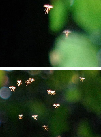 7 Creepy Mysteries With Really Dumb Explanations (Pt. 3)