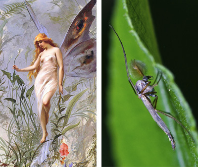 7 Creepy Mysteries With Really Dumb Explanations (Pt. 3)